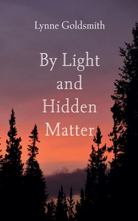 Cover of By Light and Hidden Matter
