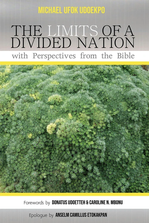 Cover of The Limits of a Divided Nation with Perspectives from the Bible