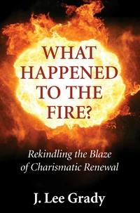Cover of What Happened to the Fire?