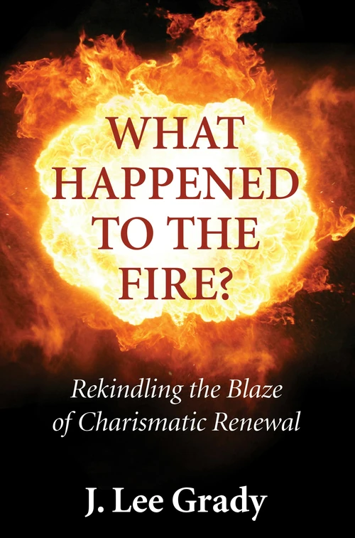 Cover of What Happened to the Fire?
