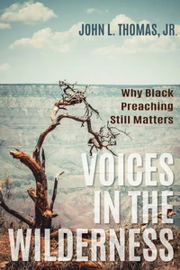 Cover of Voices in the Wilderness