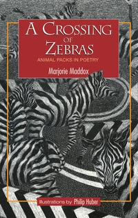 Cover of A Crossing of Zebras