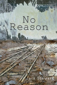 Cover of No Reason