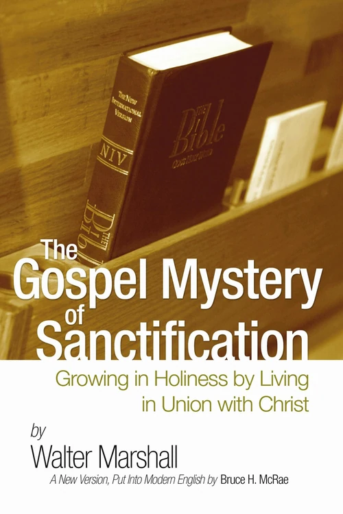 Cover of The Gospel Mystery of Sanctification