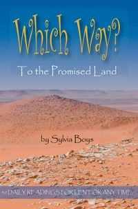 Cover of Which Way to the Promised Land