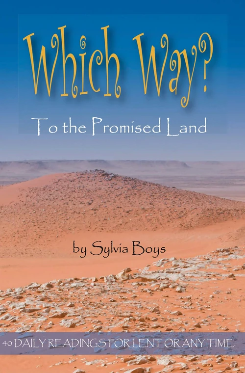 Cover of Which Way to the Promised Land