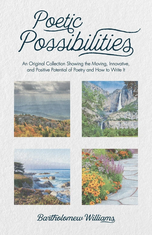 Cover of Poetic Possibilities