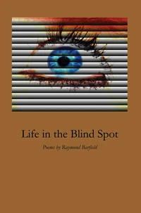 Cover of Life in the Blind Spot