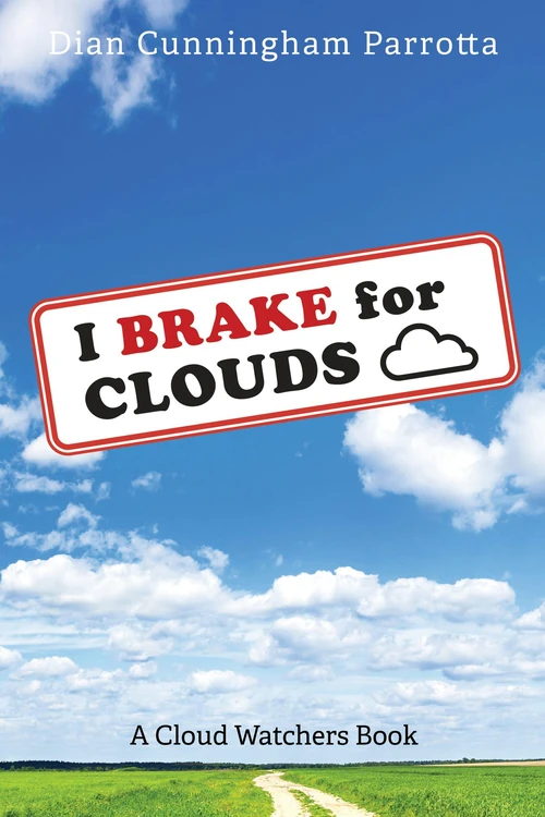 Cover of I Brake for Clouds