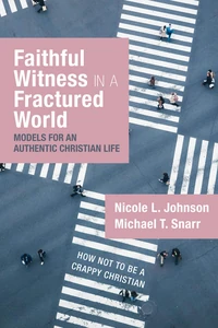 Cover of Faithful Witness in a Fractured World