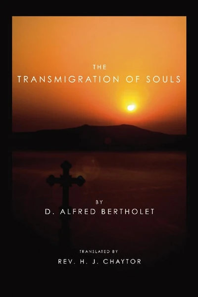Cover of The Transmigration of Souls