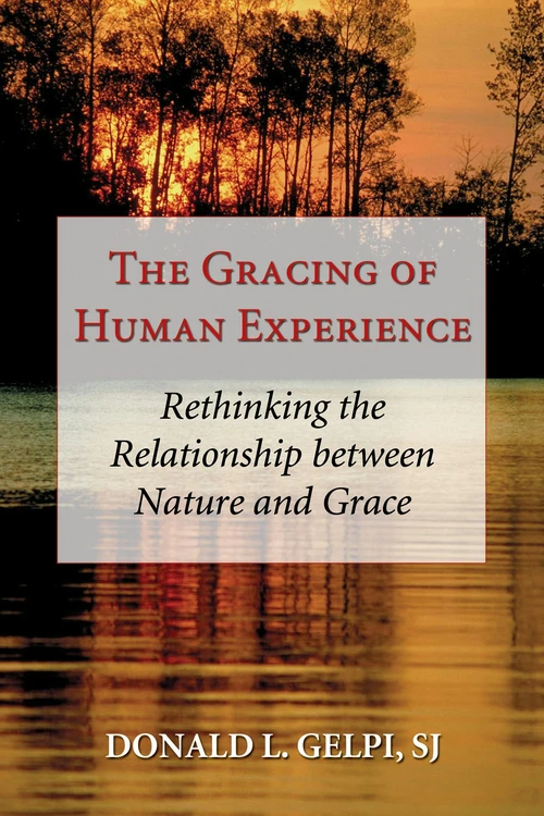 Cover of The Gracing of Human Experience