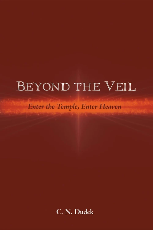 Cover of Beyond the Veil