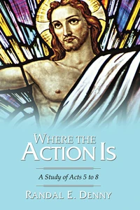 Cover of Where the Action Is