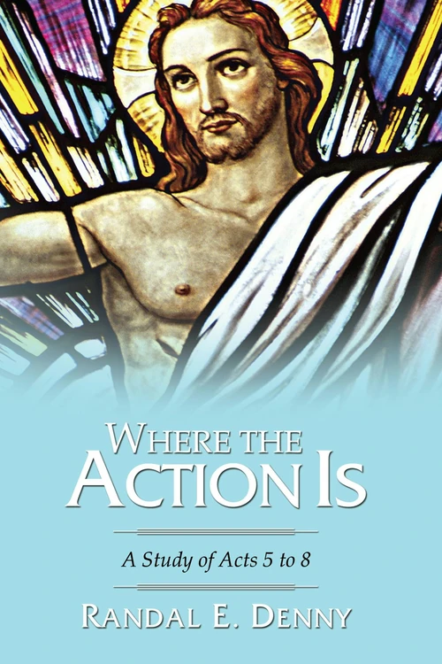 Cover of Where the Action Is