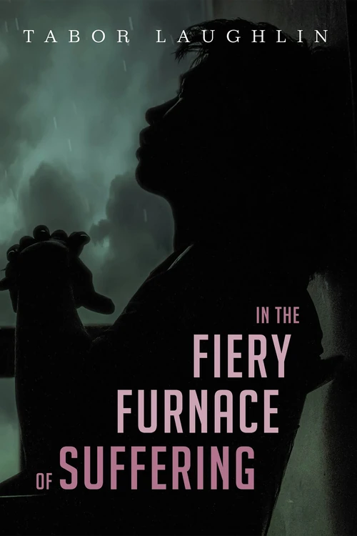 Cover of In the Fiery Furnace of Suffering