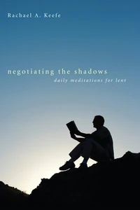 Cover of Negotiating the Shadows