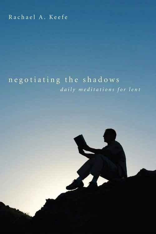 Cover of Negotiating the Shadows