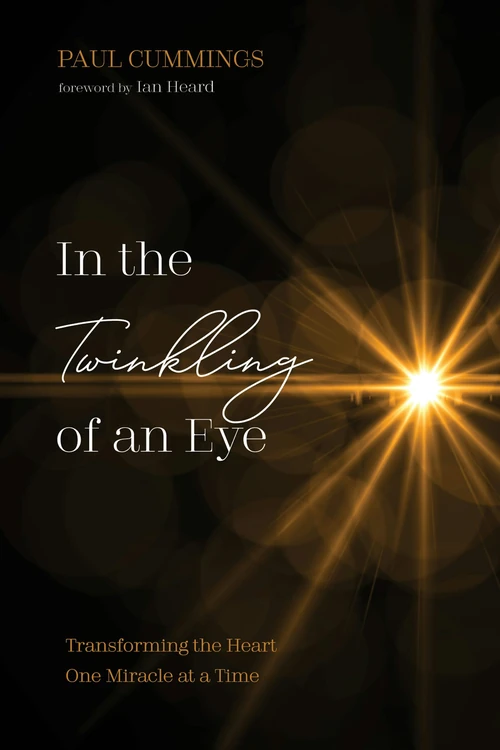 Cover of In the Twinkling of an Eye