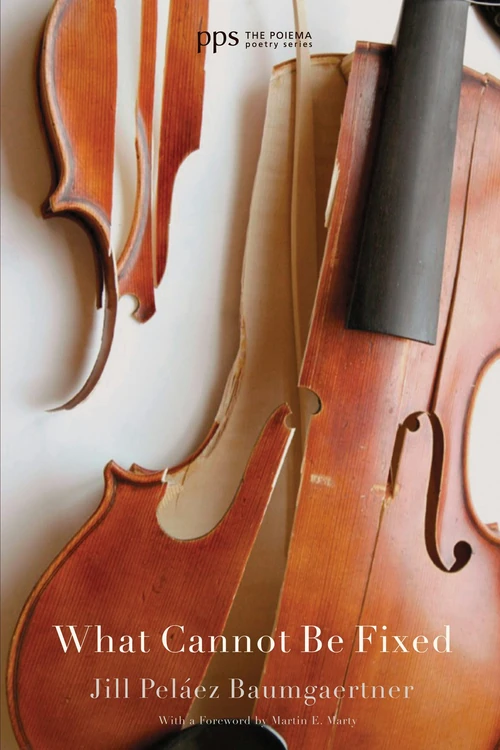 Cover of What Cannot Be Fixed