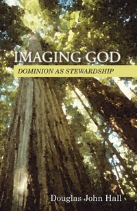 Cover of Imaging God