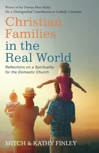Cover of Christian Families in the Real World