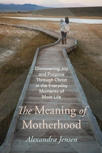 Cover of The Meaning of Motherhood