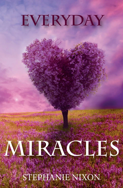 Cover of Everyday Miracles