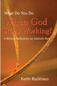 Cover of When God Stops Working