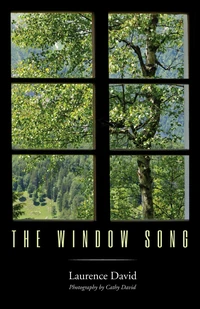 Cover of The Window Song