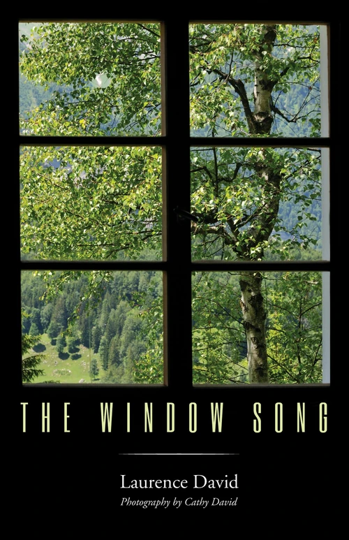 Cover of The Window Song
