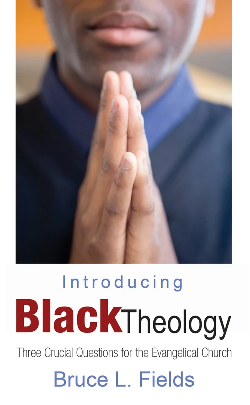 Cover of Introducing Black Theology