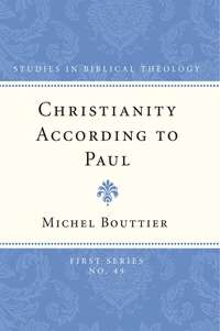 Cover of Christianity According to Paul