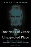 Cover of The Doctrines of Grace in an Unexpected Place