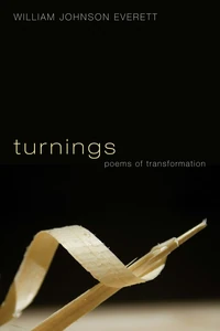 Cover of Turnings