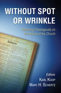 Cover of Without Spot or Wrinkle