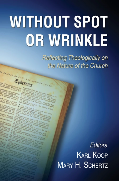 Cover of Without Spot or Wrinkle