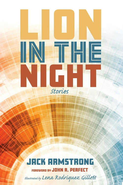 Cover of Lion in the Night