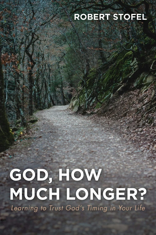 Cover of God, How Much Longer?