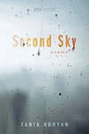 Cover of Second Sky