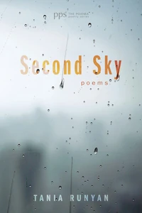 Cover of Second Sky