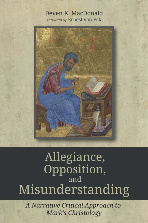 Cover of Allegiance, Opposition, and Misunderstanding