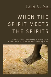 Cover of When the Spirit Meets the Spirits