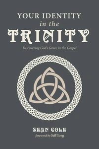 Cover of Your Identity in the Trinity