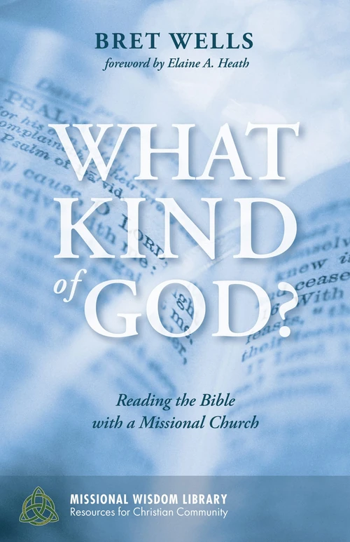 Cover of What Kind of God?