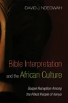 Cover of Bible Interpretation and the African Culture