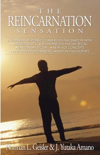 Cover of The Reincarnation Sensation