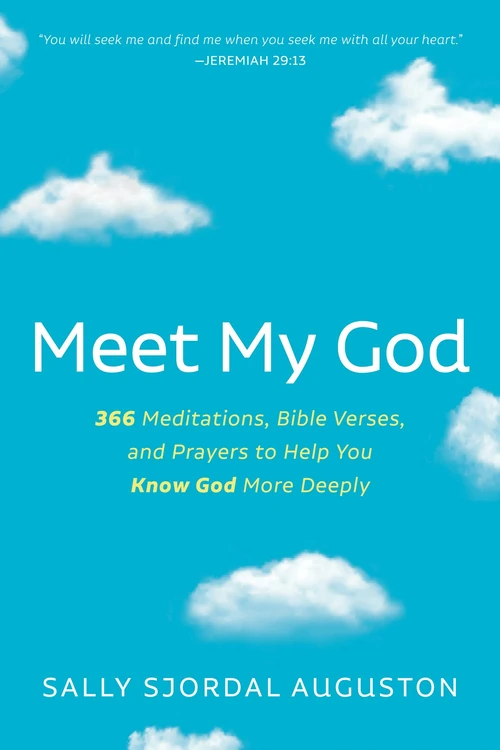Cover of Meet My God