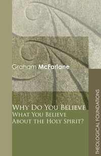 Cover of Why Do You Believe What You Believe About the Holy Spirit?