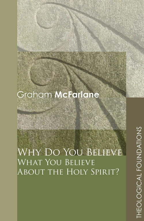 Cover of Why Do You Believe What You Believe About the Holy Spirit?